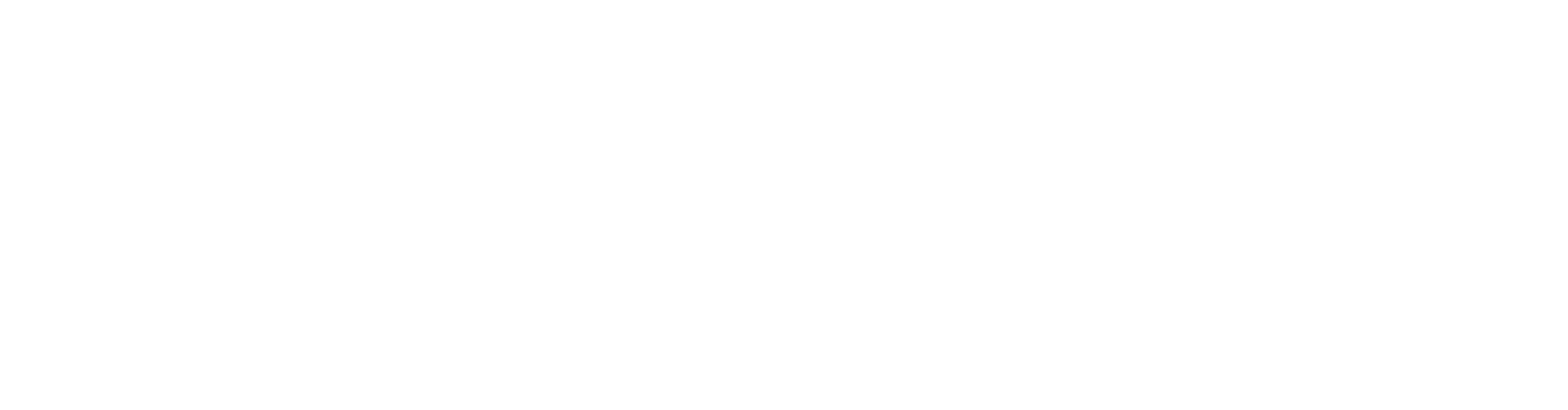 Turvo logo